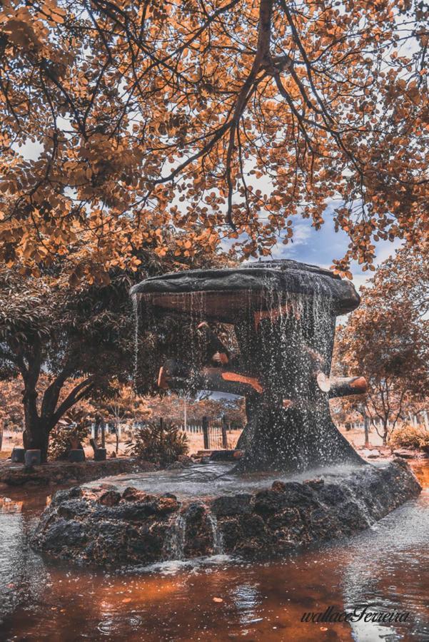 Hotel Diroma Fiori - Parque Aquatico E Muitas Piscinas Caldas Novas Buitenkant foto